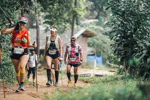 BIB: 
                            <button type="button" onclick="openModal(25681201)" class="btn btn-primary btn-sm float-right btn-popup" data-toggle="modal" data-target=".modal-high-quality">
                        <i class="fas fa-shopping-cart"></i> Add to Cart
                    </button>
                                            <button type="button" onclick="isThisMe(25681201, true)" class="btn btn-success btn-sm float-right btn-popup btn-isme hidden" data-toggle="tooltip" data-placement="bottom" title="นี่คือรูปของคุณใช่ไหม คลิกที่นี่เพื่อเอาเข้าอัลบั้ม">
                        <i class="fas fa-plus"></i> Add to album
                    </button>
                    <button type="button" onclick="isThisMe(25681201, false)" class="btn btn-warning btn-sm float-right btn-popup btn-isnotme hidden">
                        <i class="fas fa-ban"></i> Remove from album
                    </button>